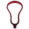 STX Stallion Prism Dyed Lacrosse Head - Maroon | Top String Lacrosse